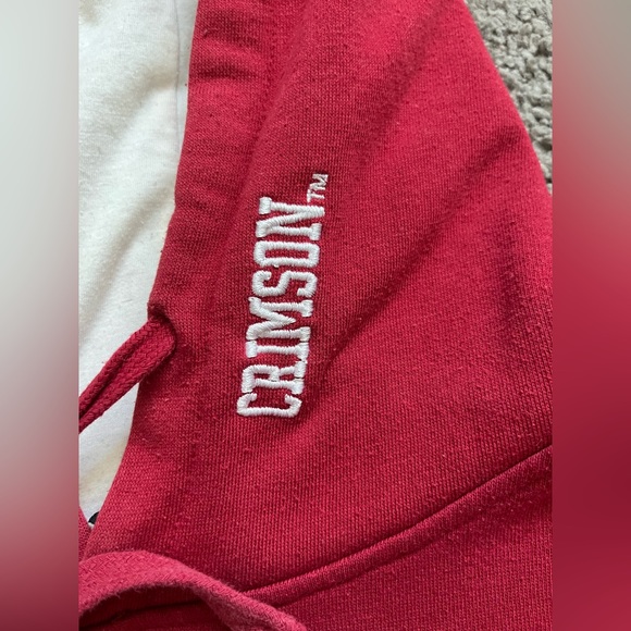 Men’s Harvard University Crimson Hoodie - Picture 4 of 6